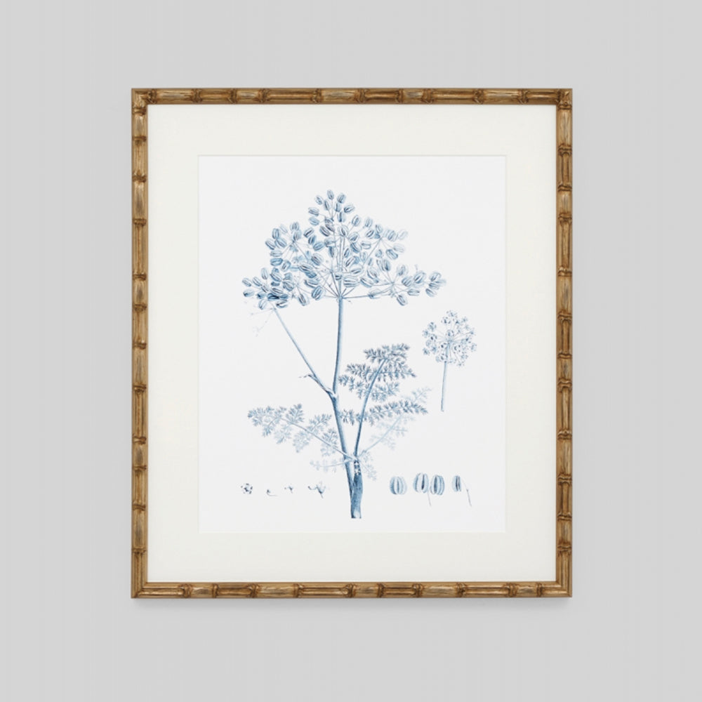 Blue botanical illustration printed on white paper. Framed with off white matte board and antique gold coloured bamboo style frame.