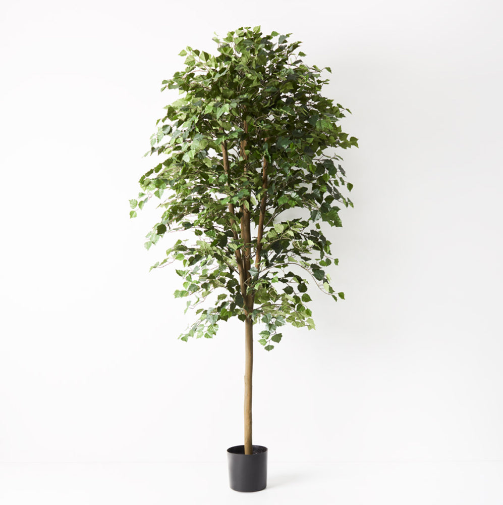 Artificial Birch Tree Pepperwhites by Tara Dennis