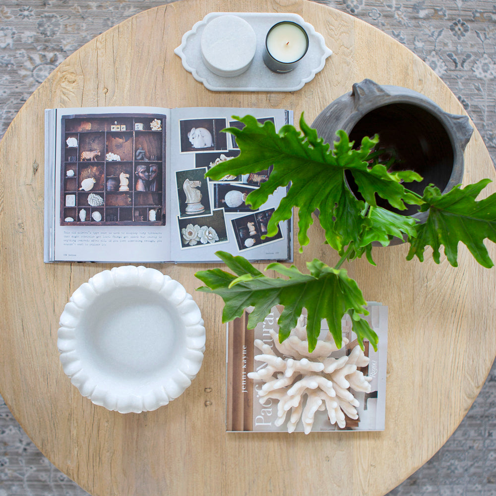 Elm Round Coffee Table Pepperwhites by Tara Dennis