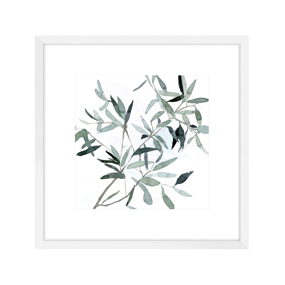 Tranquil Eucalyptus II Framed Print