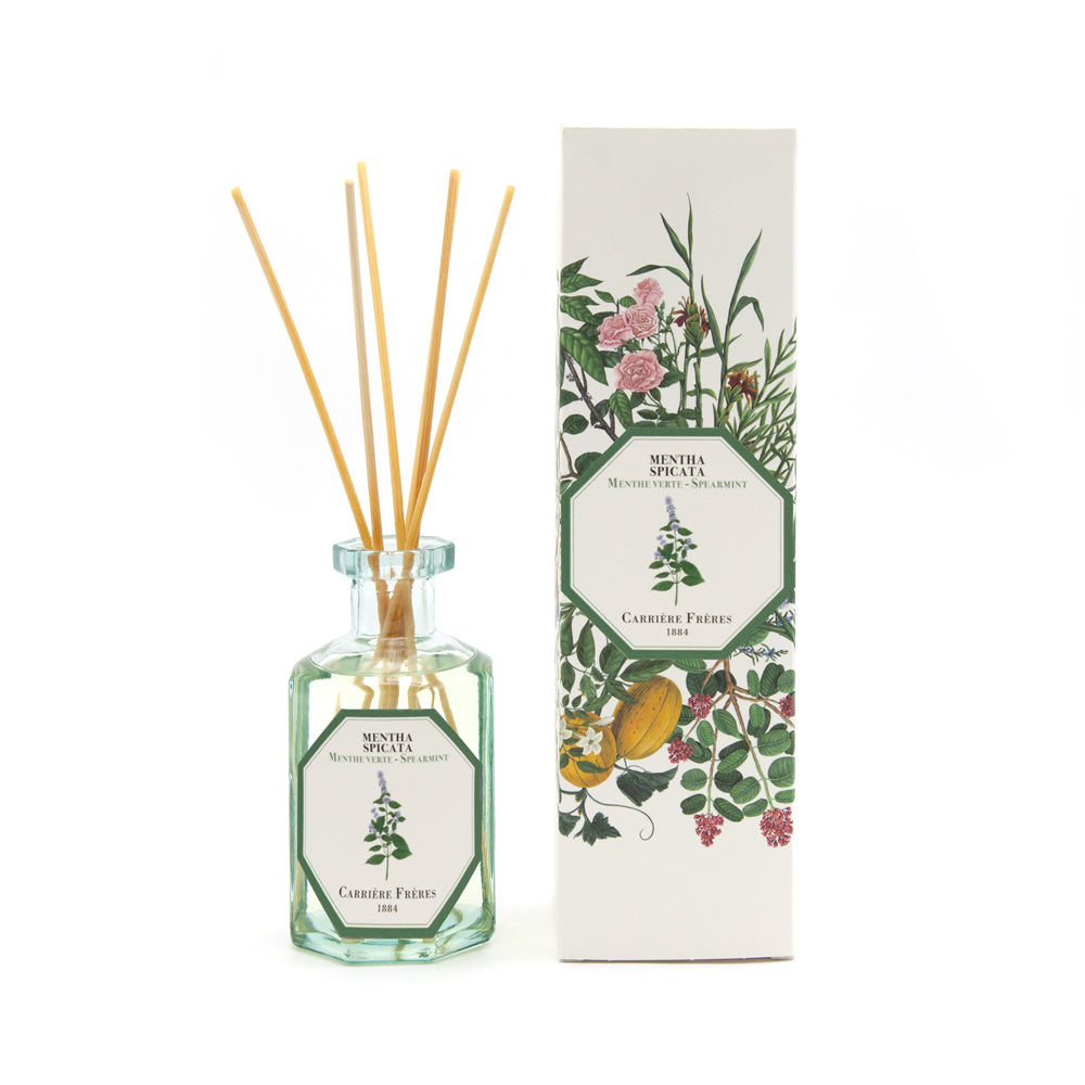 Carriere Freres Spearmint diffuser