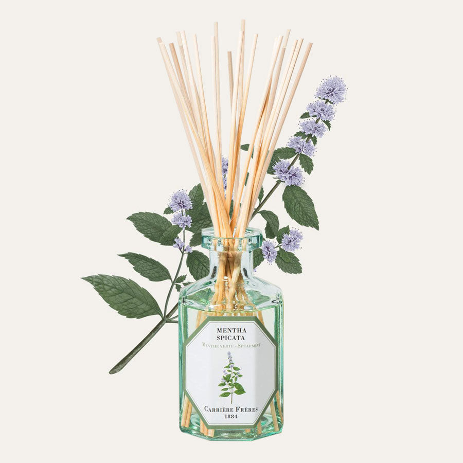 Carriere Freres Spearmint Diffuser.