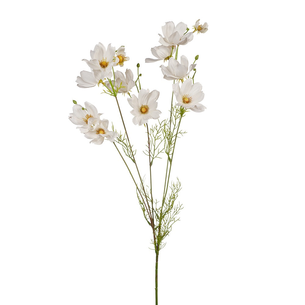 Artificial Cosmos flowers white.