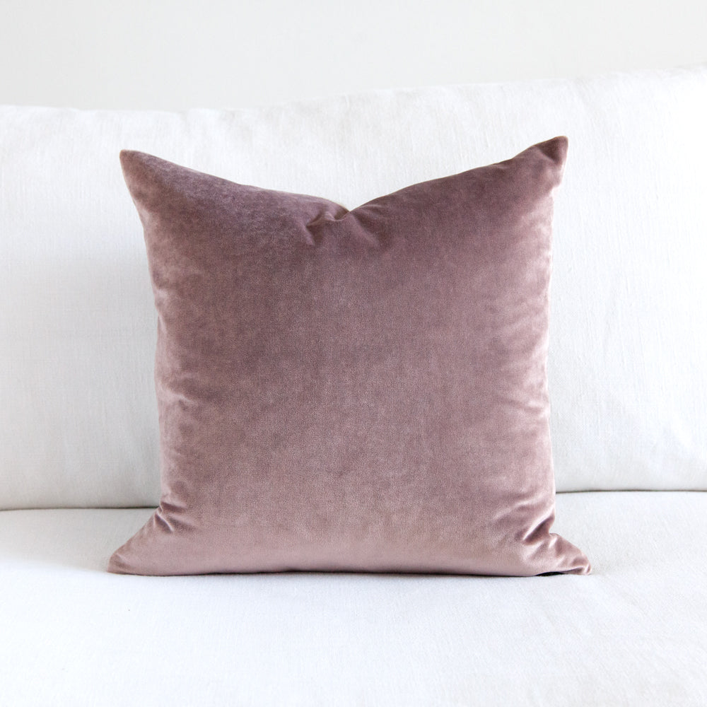 Parma Pink Velvet Cushion Iosis Pepperwhites by Tara Dennis