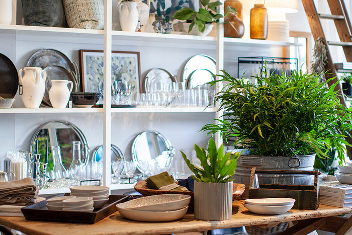 Pepperwhites by Tara Dennis