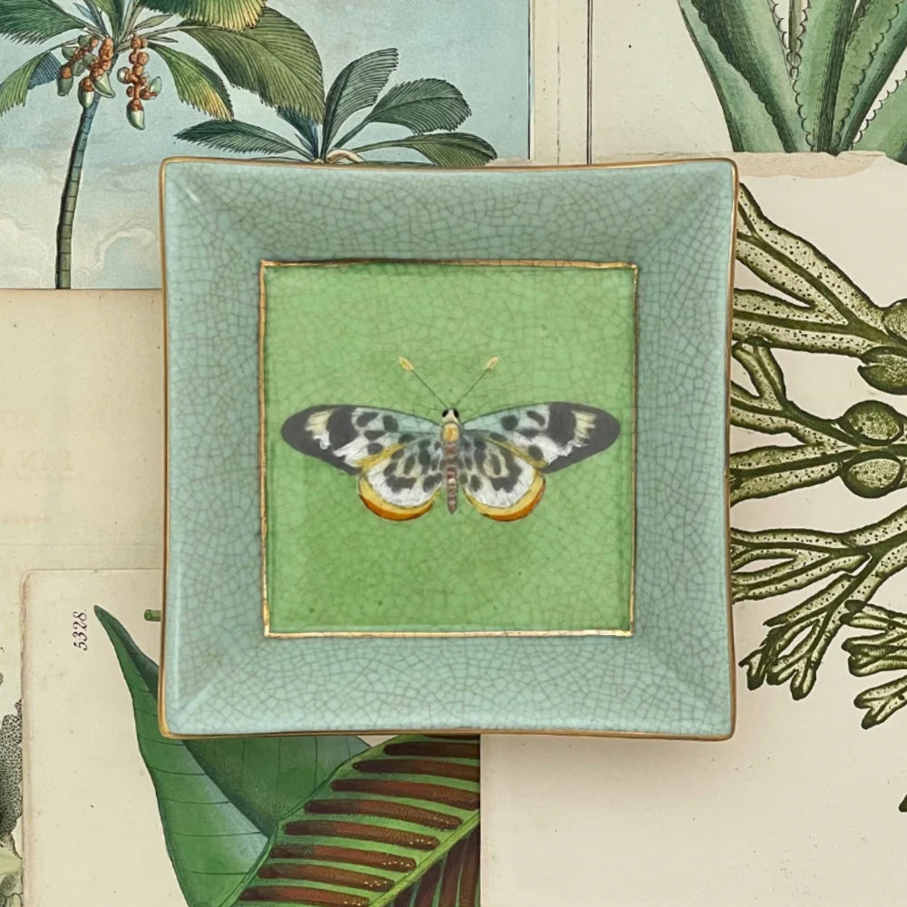 Exotico Wall Plate - Mariposa