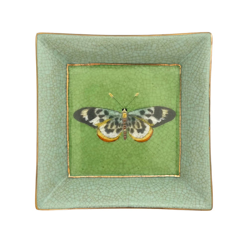 Exotico Wall Plate - Mariposa