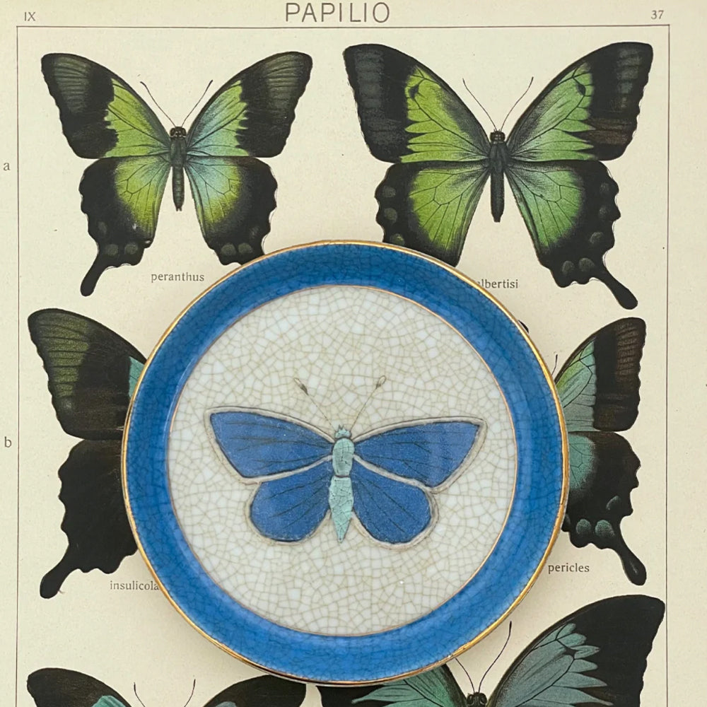 Entomologie Savon Dish Blue