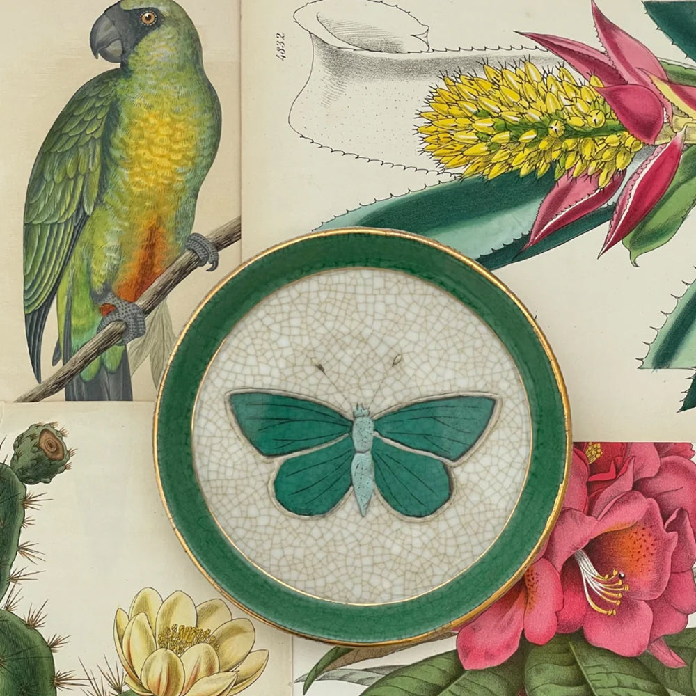 Entomologie Savon Dish Green