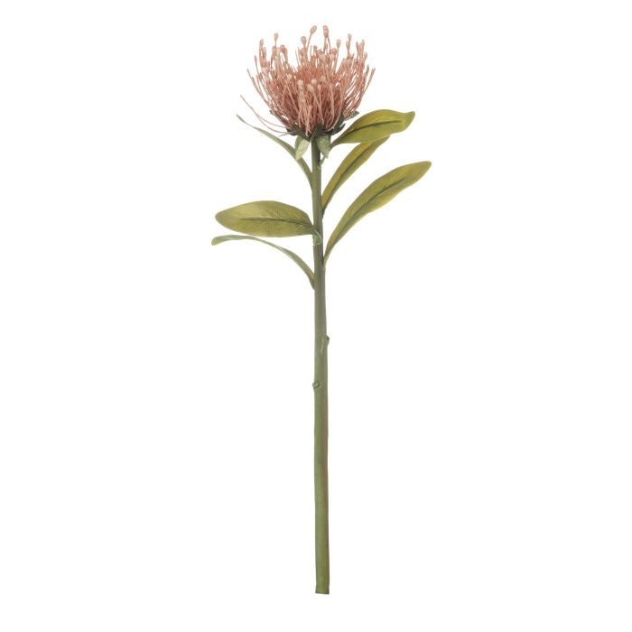 Pincushion Flower Stem