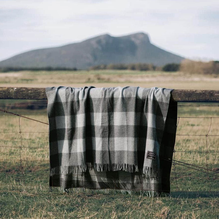 Grey and charcoal tartan blanket hanging over fence in a field.
