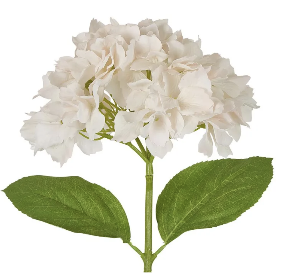 Soft Touch Hydrangea Peach
