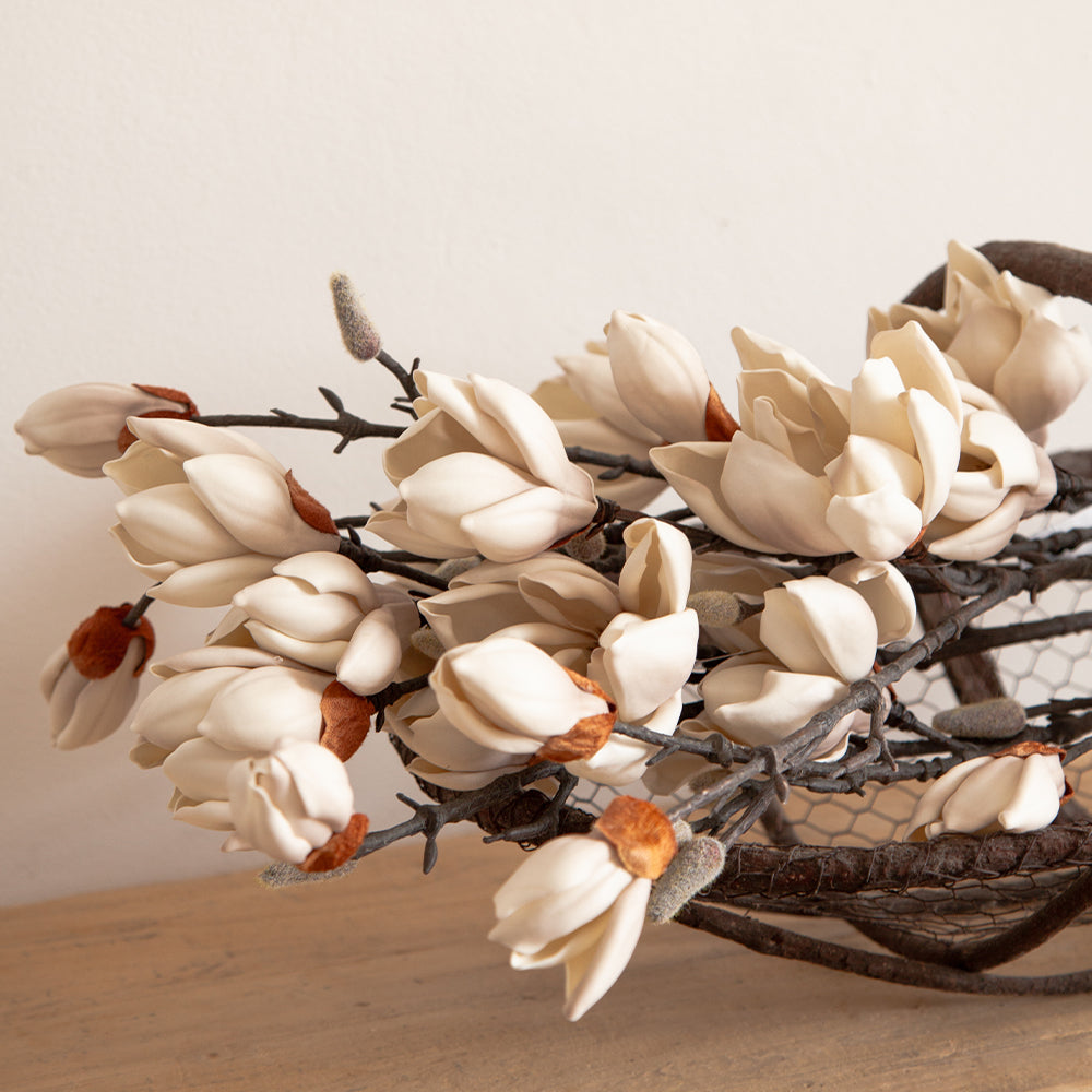 Cream Magnolia Japanese Spray