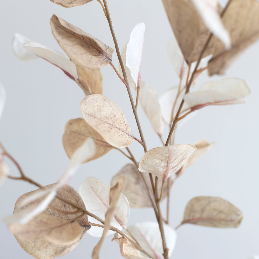 Eucalyptus Spray Honey