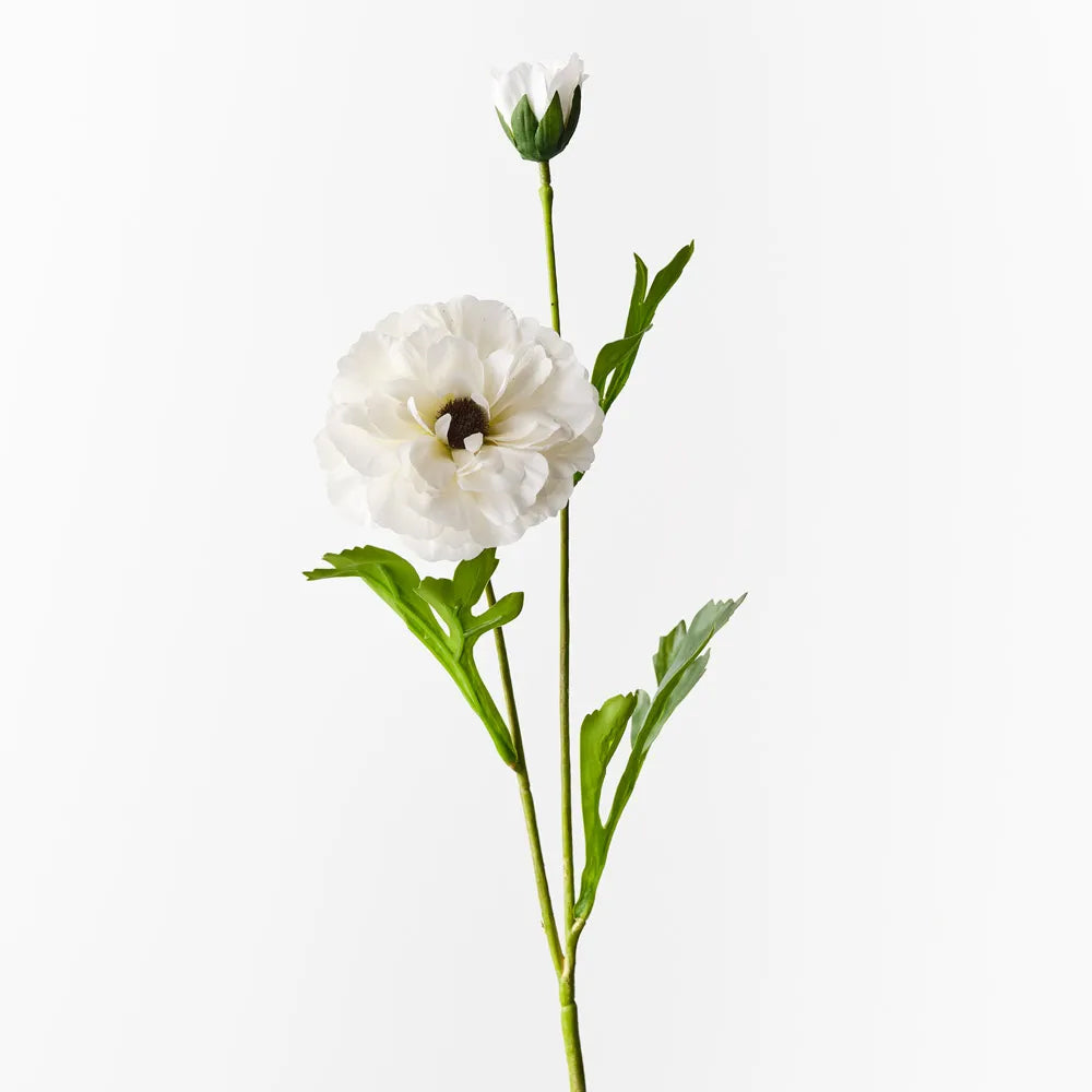 Ranunculus Spray White