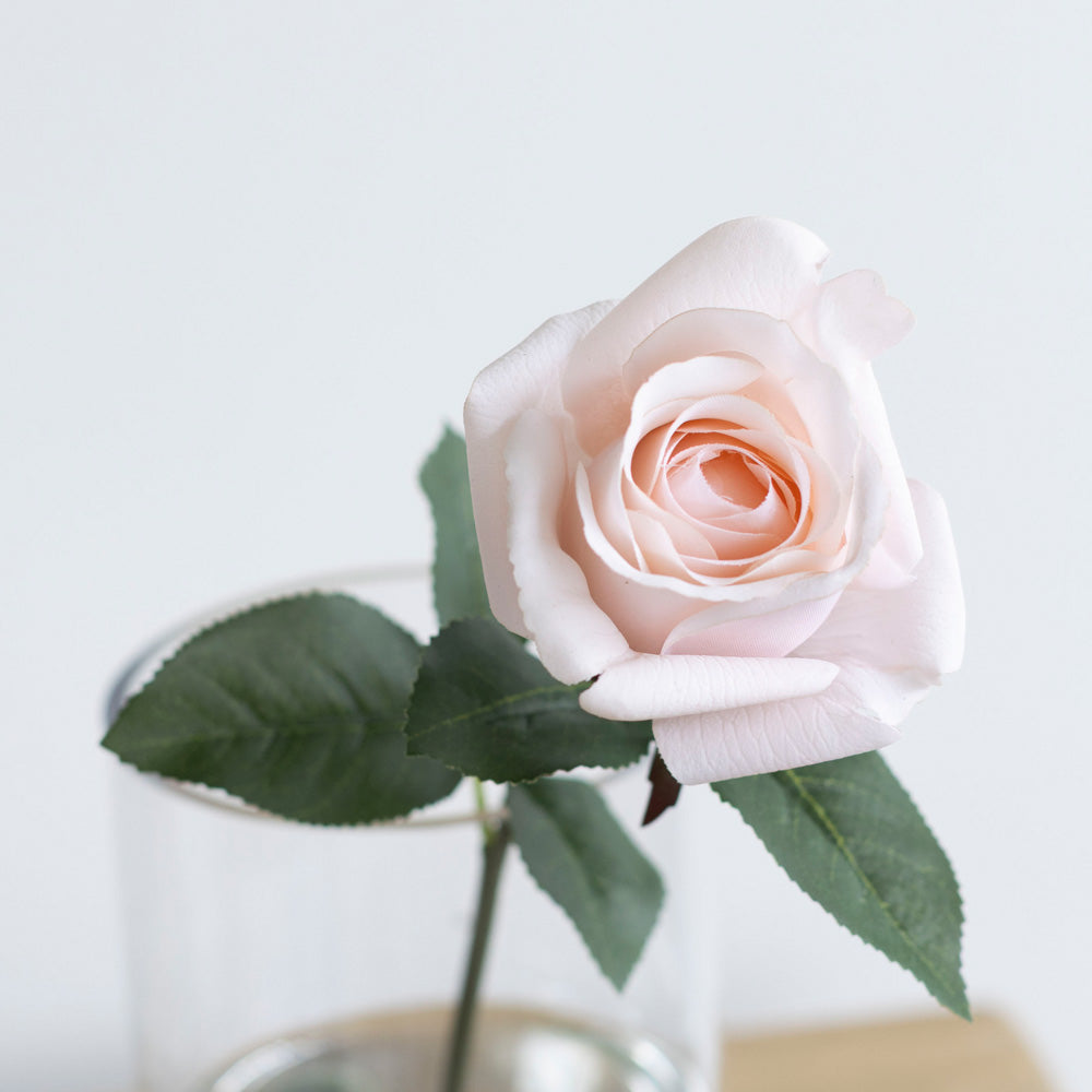 Rosebud Soft Pink