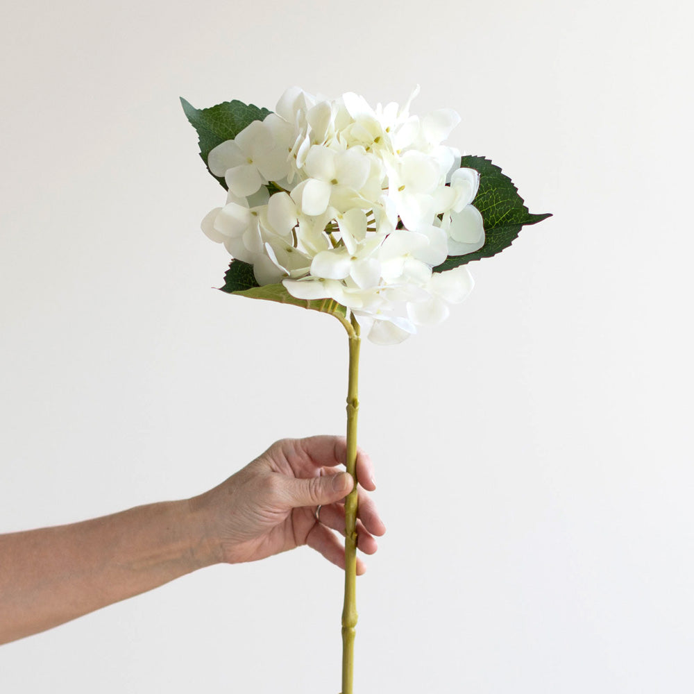 Hydrangea Stem White