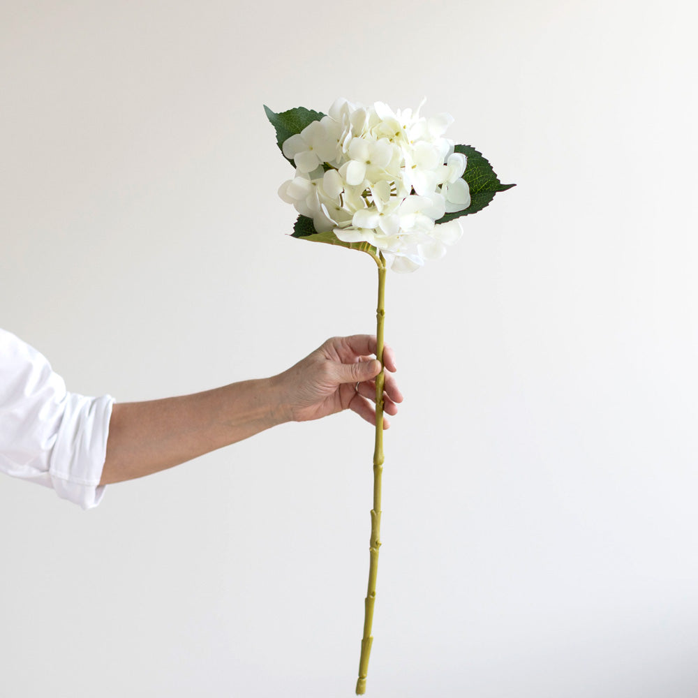 Hydrangea Stem White