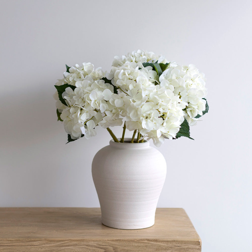 Hydrangea Stem White