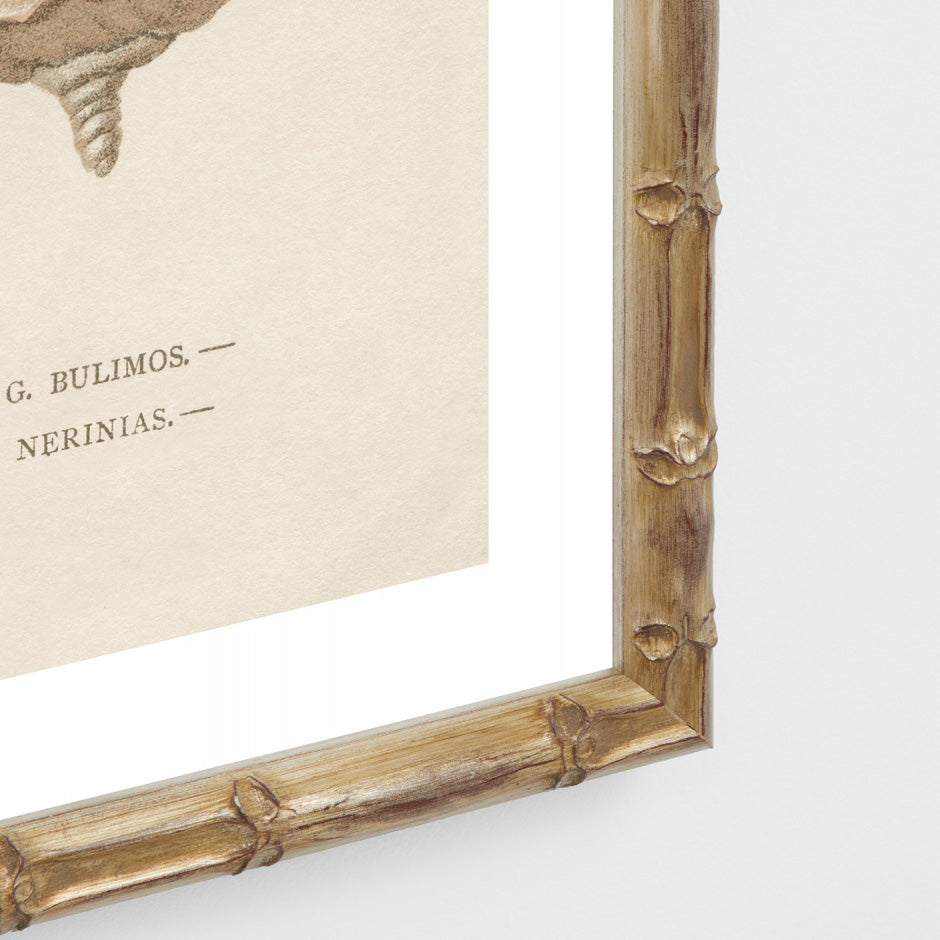 Coastal Trinkets II Natural Wall Art