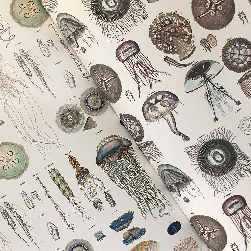 Creative Paper Book - Marine