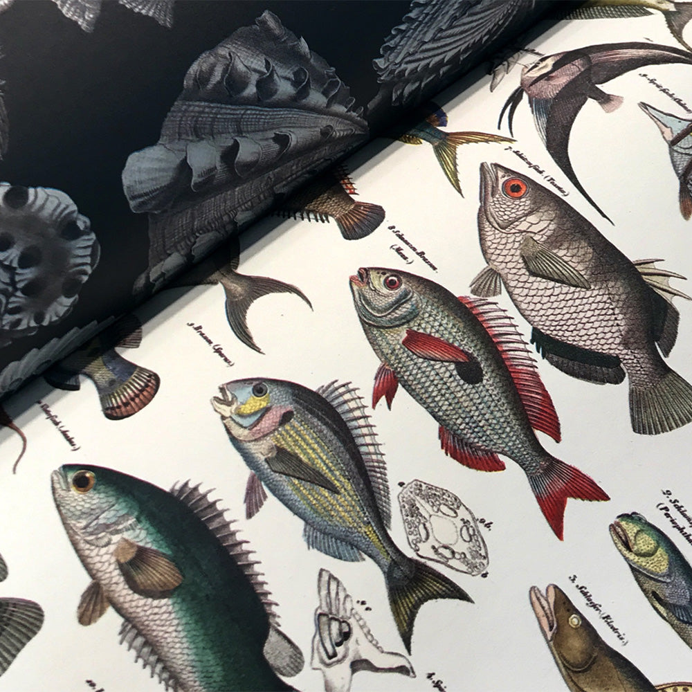 Creative Paper Book - Marine