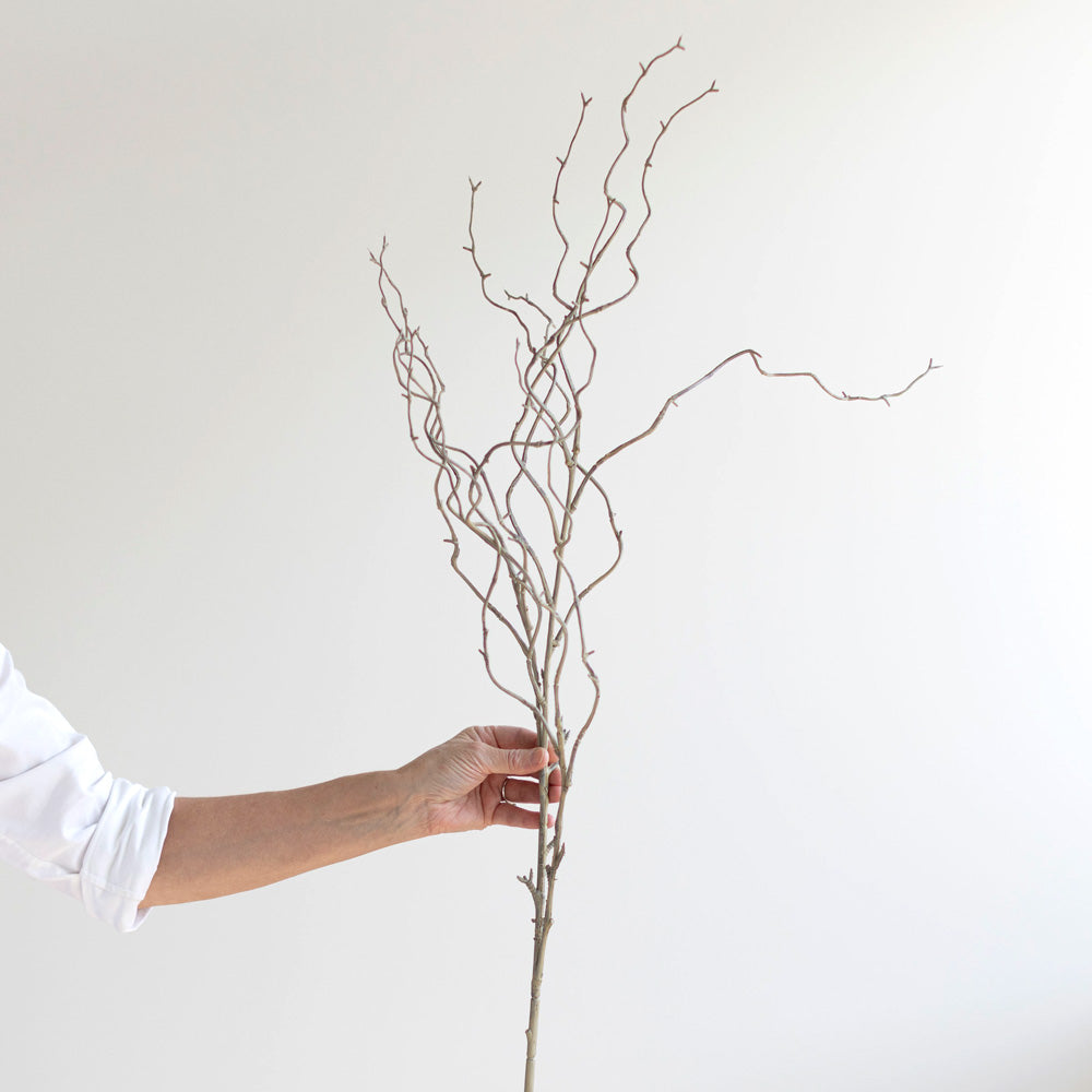 Curly Twig Willow Spray