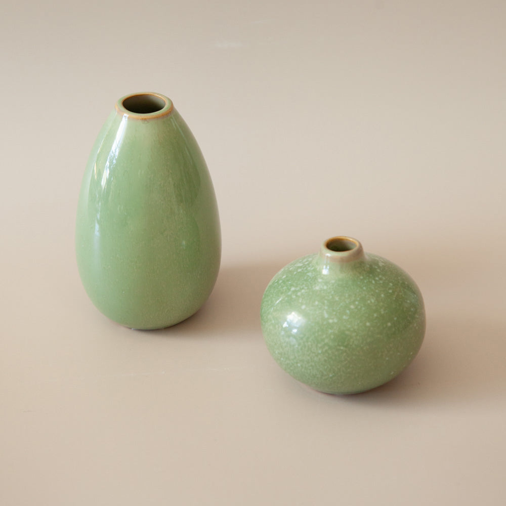 Pepperwhites by Tara Dennis