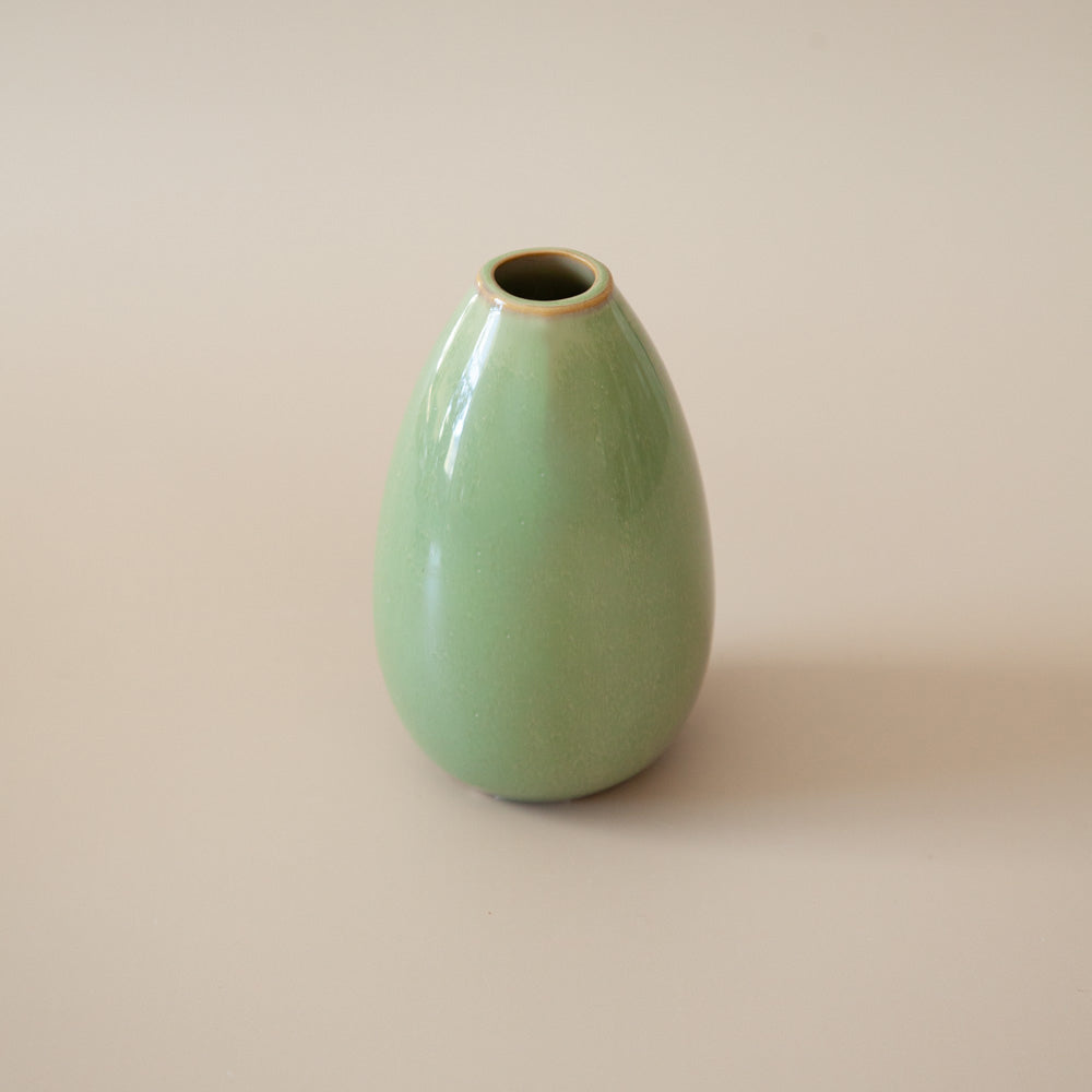 Pepperwhites by Tara Dennis