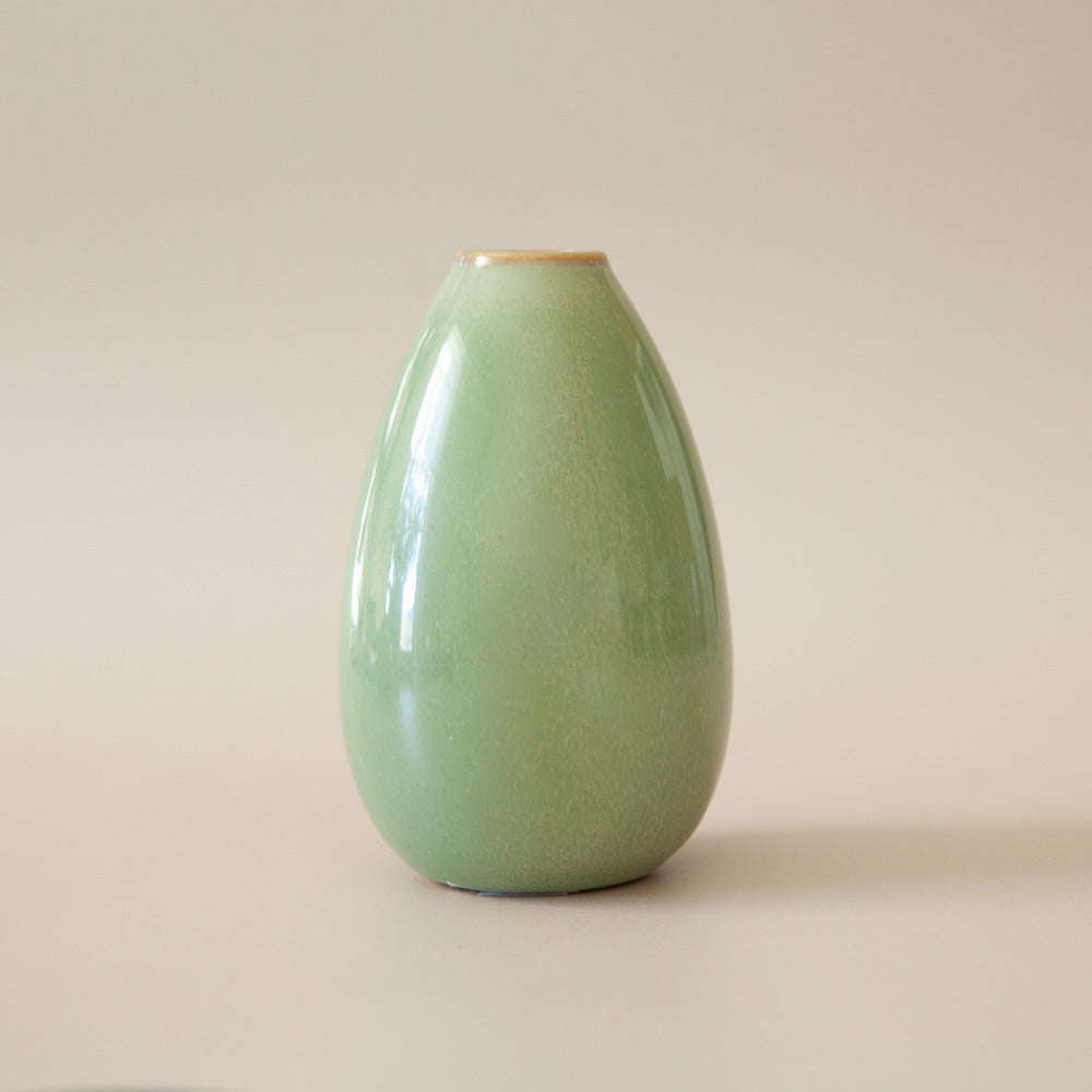 Pepperwhites by Tara Dennis