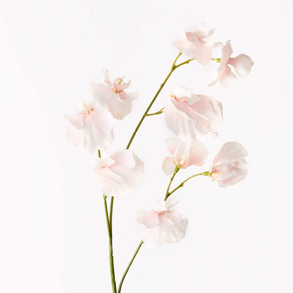 artificial sweet pea flowers.