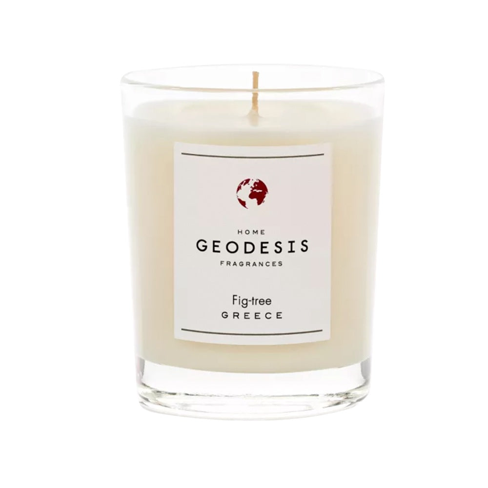 Geodesis Candle Fig Tree