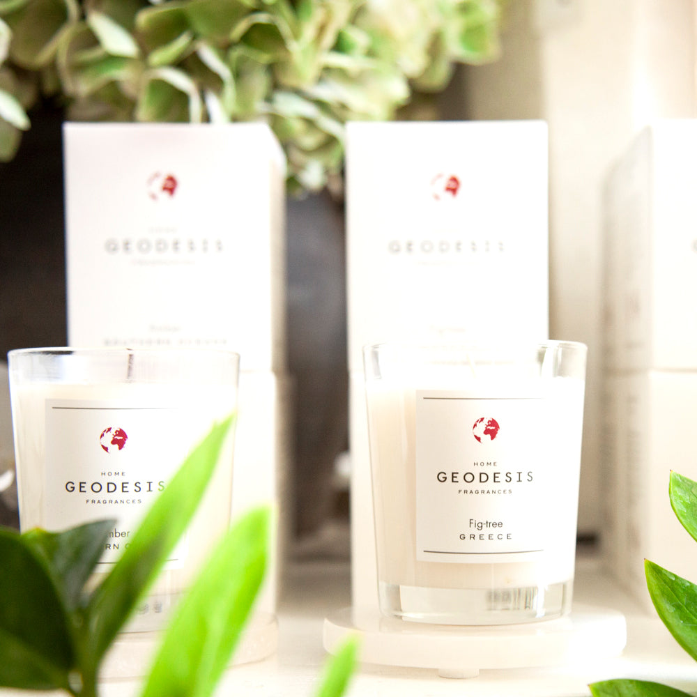 Geodesis Candle Fig Tree