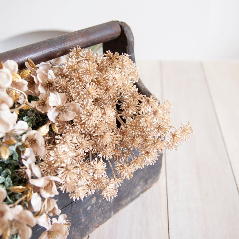 Pepperwhites by Tara Dennis