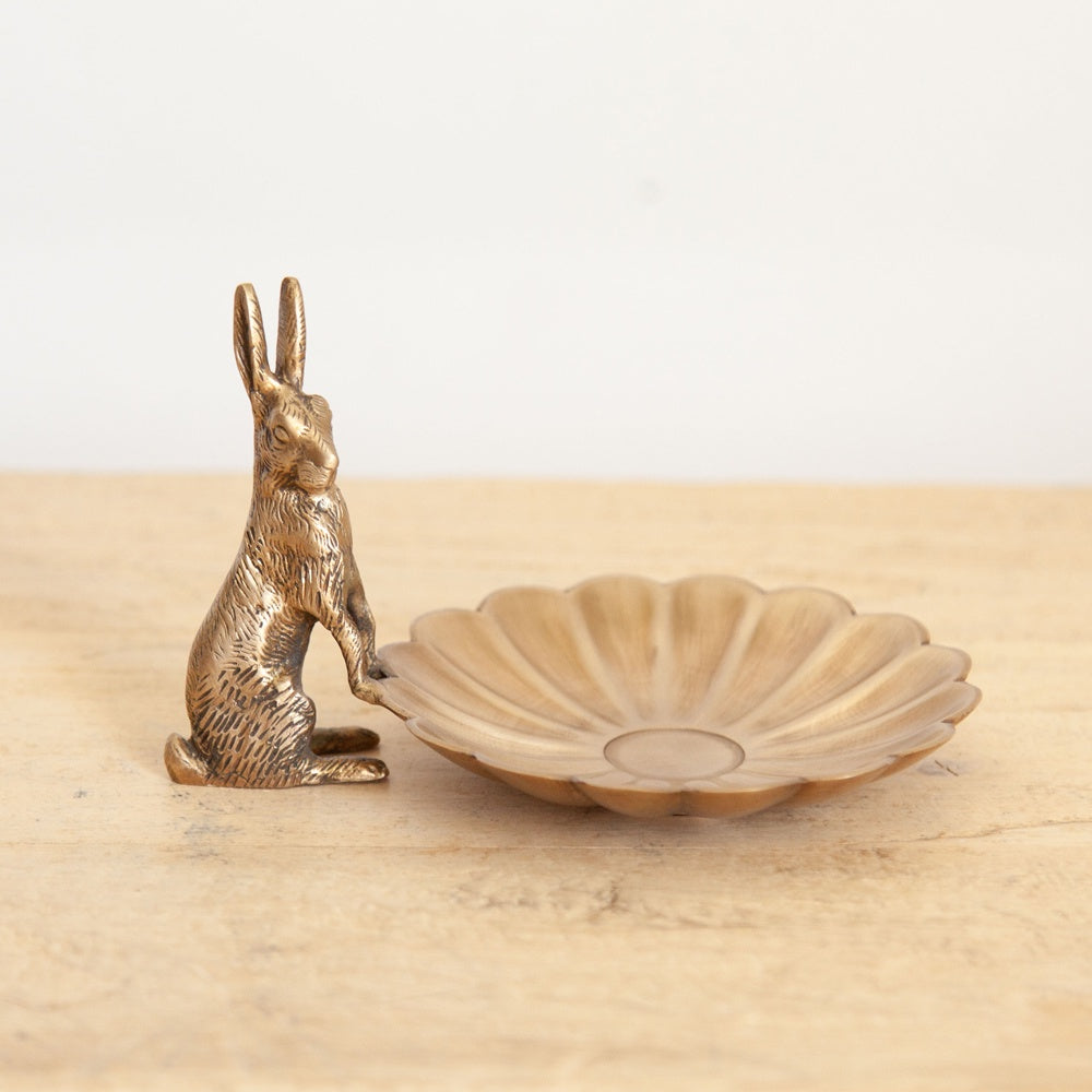 Harvey Rabbit Brass Dish – Pepperwhites by Tara Dennis