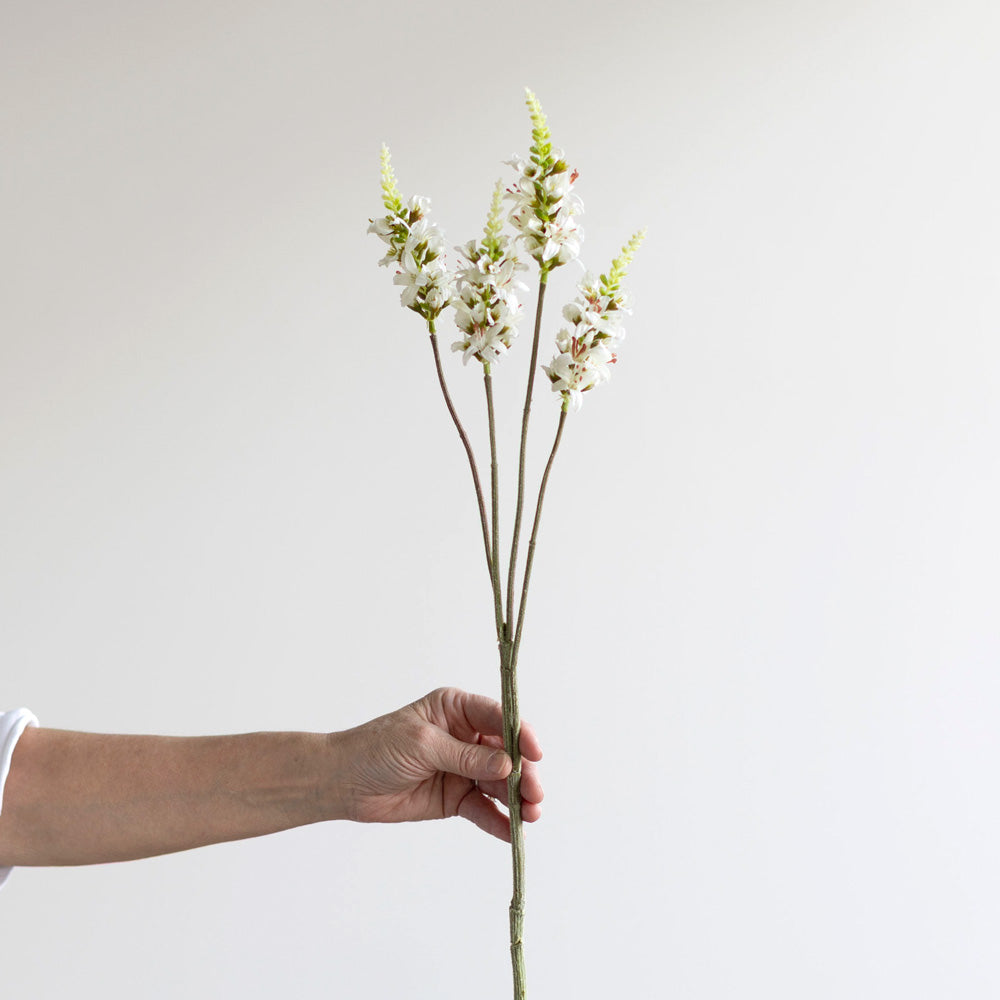Nodding Sage Spray