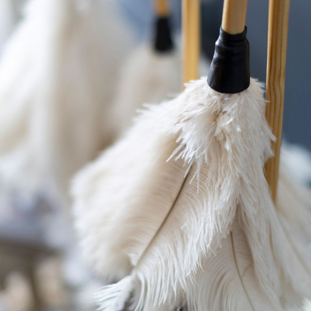 Feather Duster White