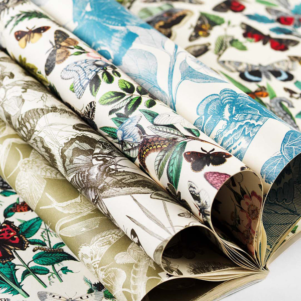 Creative Papers Book - Butterflies