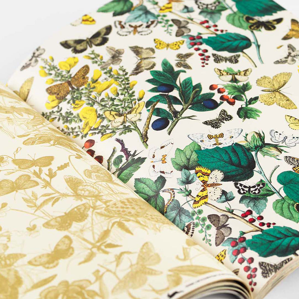 Creative Papers Book - Butterflies
