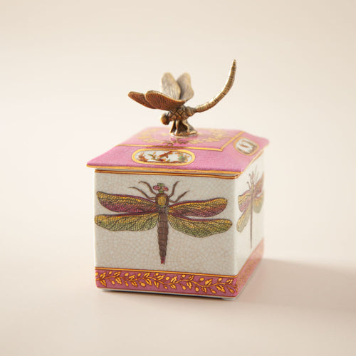 Pepperwhites by Tara Dennis | Exotico Dragonfly Trinket Box Pink