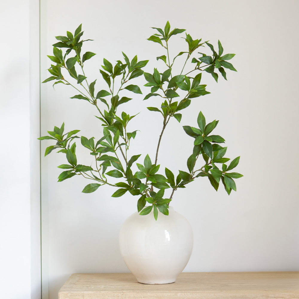 Pieris Japonica Leaf Branch Artificial Plant  Pepperwhites by Tara Dennis