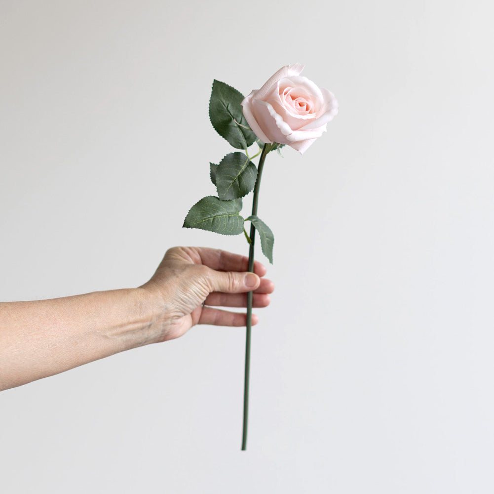 Rosebud Soft Pink