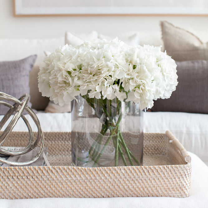 Soft Touch Hydrangea White