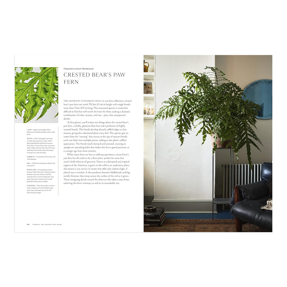 Terrain: The House Plant Book inside spread.