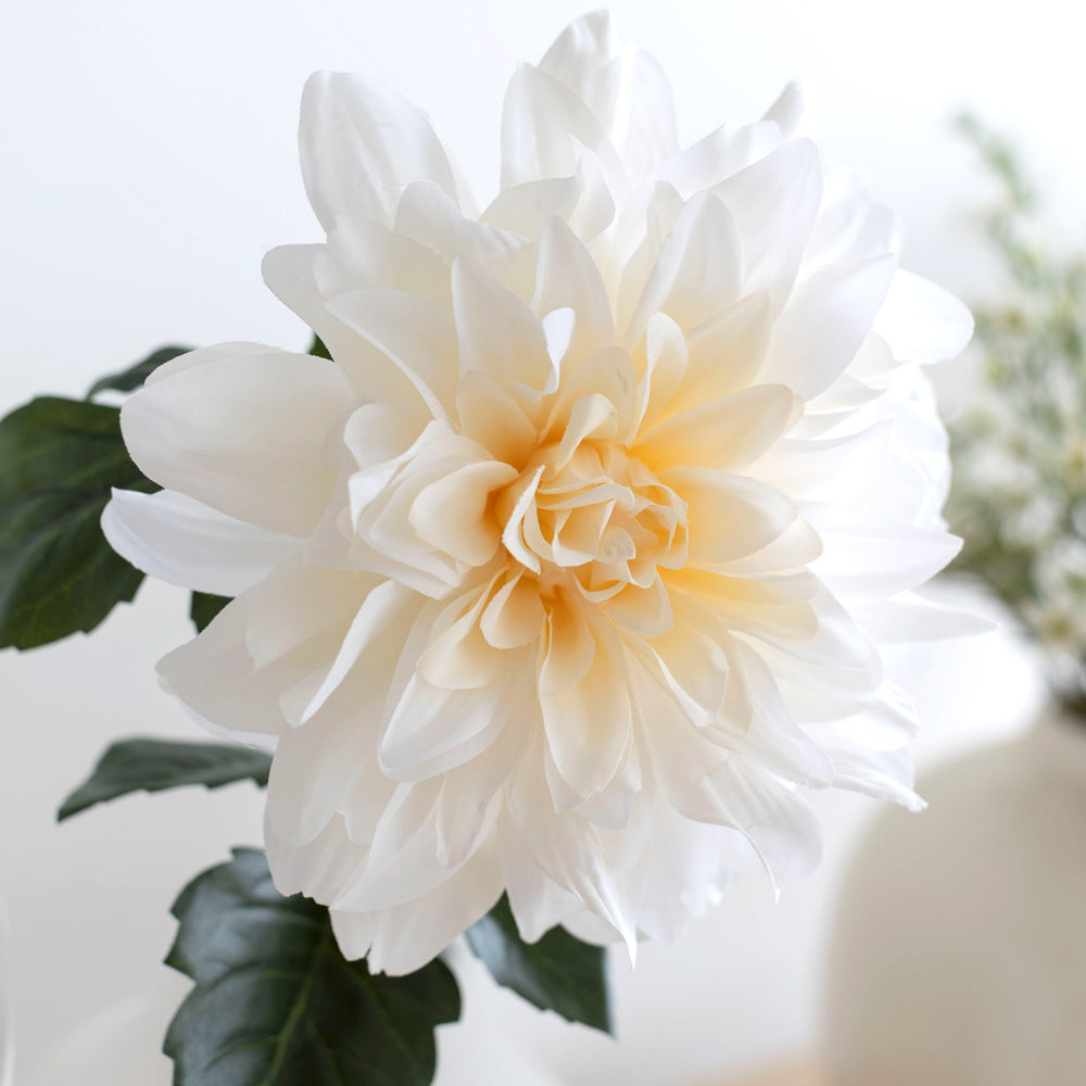 White Dahlia Stem
