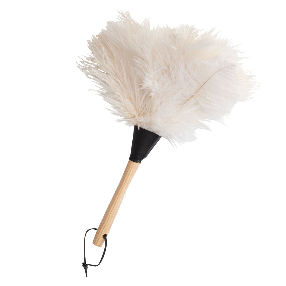Feather Duster White
