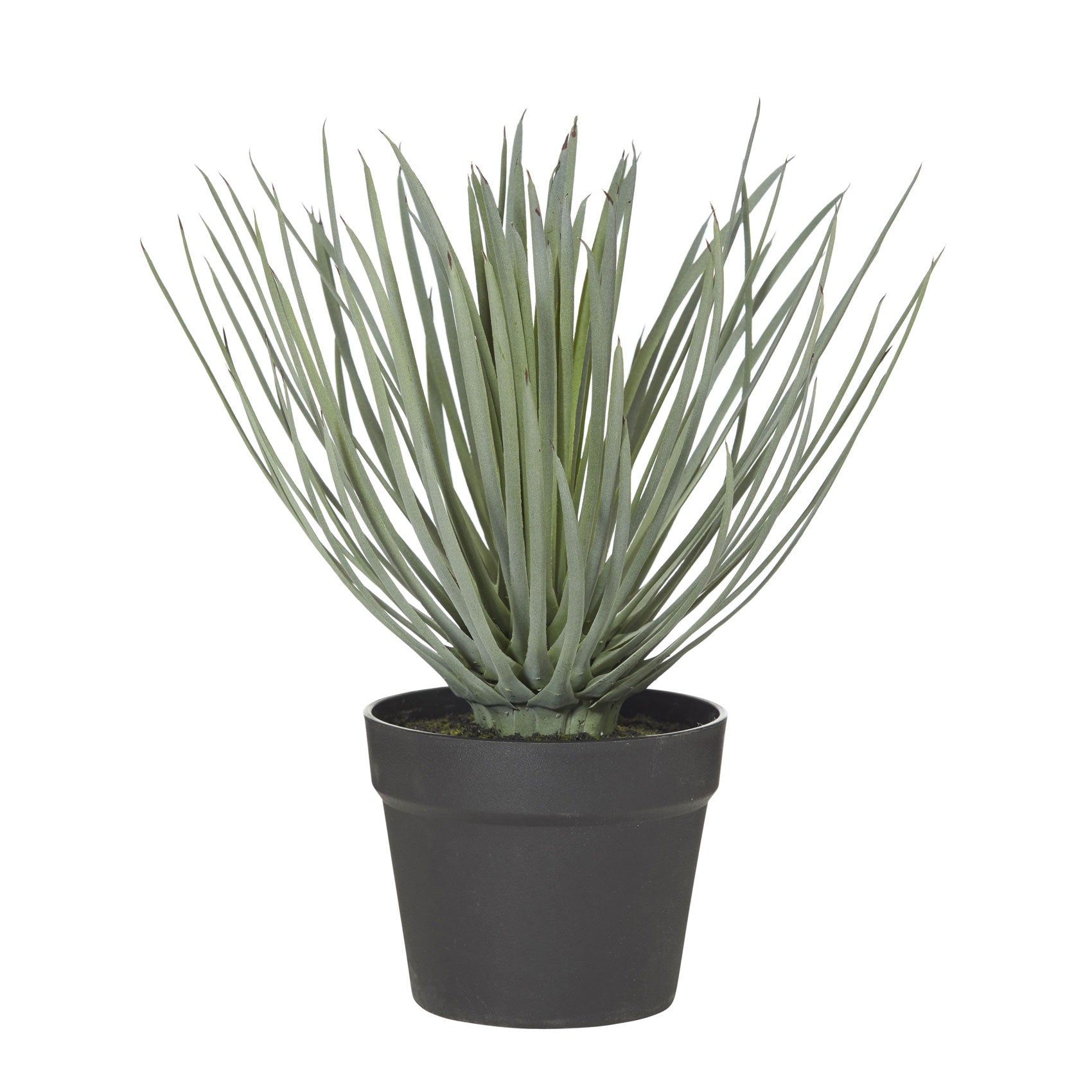 Spikey Grass Garden Pot