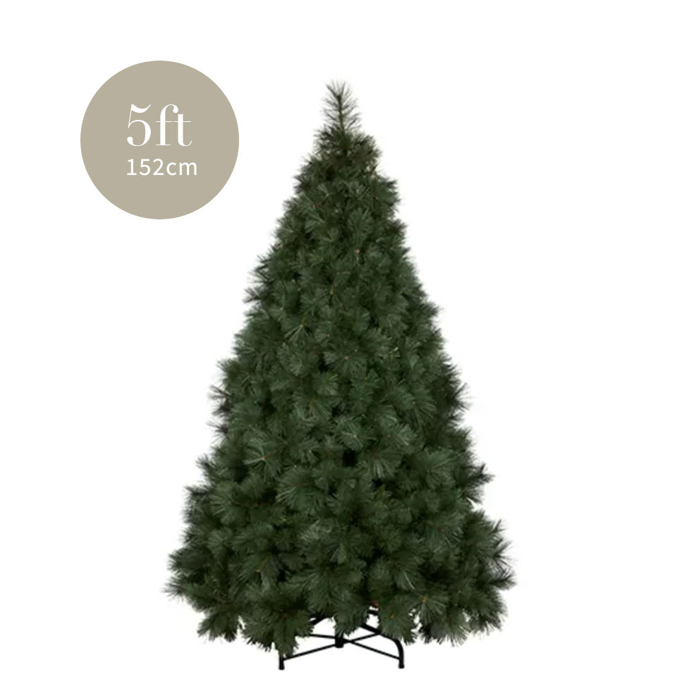 5ft Long Needle Christmas Tree Pepperwhites by Tara Dennis