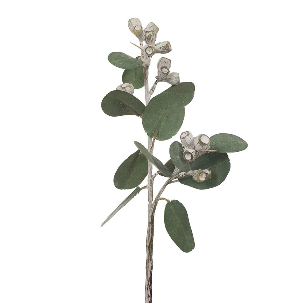 Artificial Eucalyptus stem with gum nuts.