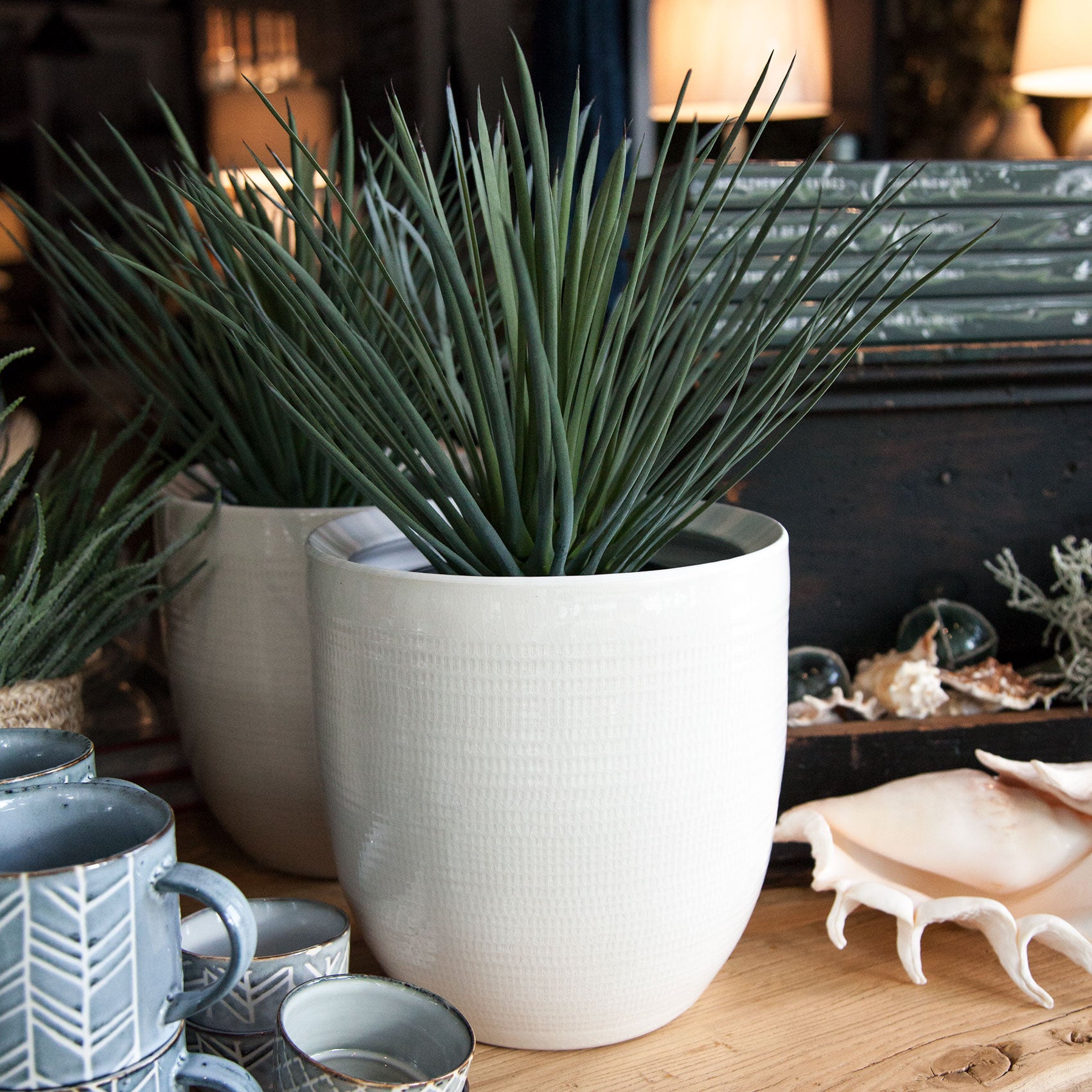 Spikey Grass Garden Pot